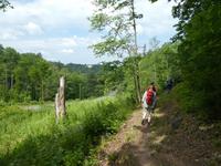 Baltikum, Lettland, Gauja Nationalpark