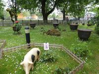 Baltikum, Lettland, Sigulda, Mittagspause