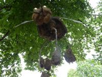 Baltikum, Lettland, Sigulda, Mittagspause