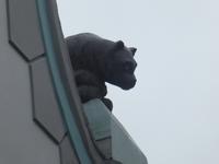 Baltikum, Estland, Tallinn