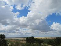 Kurische Nehrung Hohe Düne