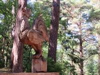 Kurische Nehrung Hexenberg