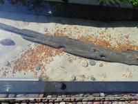 Litauen - Kurische Nehrung - Nidden - Bernsteinmuseum - Deko mit Bernstein