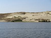 Litauen - Kurische Nehrung - Düne 