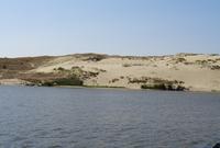 Litauen - Kurische Nehrung - Düne