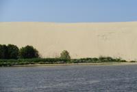 Litauen - Kurische Nehrung - Große Düne mit Vögeln