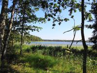 Litauen - Nationalpark Zemaitija - Plateliai-See