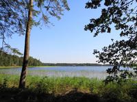 Litauen - Nationalpark Zemaitija - Plateliai-See