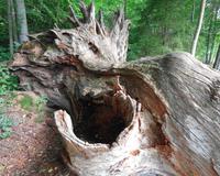 Lettland - Nationalpark Gauja 