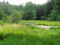 Lettland - Nationalpark Gauja 