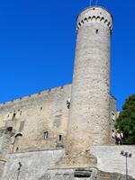 Estland - Tallinn - Oberstadt - Langer Hermann