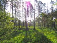 Estland - Lahemaa Nationalpark