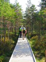 Estland - Lahemaa Nationalpark