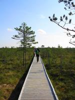 Estland - Lahemaa Nationalpark