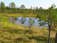 Estland - Lahemaa Nationalpark