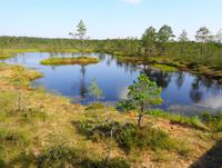 Estland - Lahemaa Nationalpark