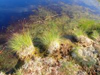 Estland - Lahemaa Nationalpark