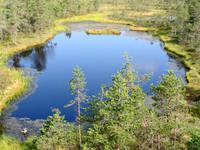 Estland - Lahemaa Nationalpark