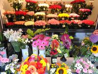 Estland - Tallinn - Blumenstand 