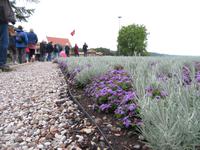 Rundreise Baltikum - Kaunas