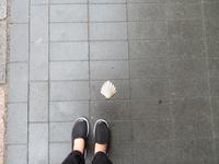 Rundreise Baltikum - Kaunas