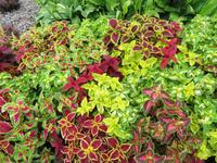 Rundreise Baltikum - Kaunas 