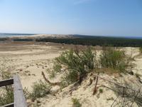 Rundreise Baltikum - Kurische Nehrung, Wanderdüne