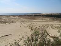 Rundreise Baltikum - Kurische Nehrung, Wanderdüne