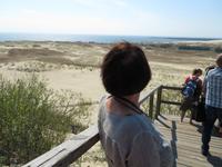 Rundreise Baltikum - Kurische Nehrung, Wanderdüne