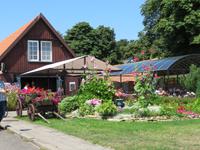 Rundreise Baltikum - Kurische Nehrung, Nida