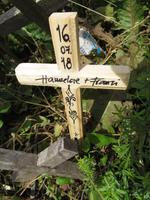 Rundreise Baltikum - Berg der Kreuze