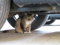 Rundreise Baltikum - Riga