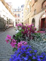 Rundreise Baltikum - Riga