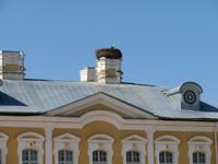 Rundreise Baltikum - Schloss Rundale