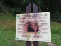 Rundreise Baltikum - Gauja-Nationalpark, Gutmannshöhle