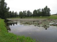 Rundreise Baltikum - Gauja-Nationalpark