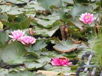 Rundreise Baltikum - Gauja-Nationalpark