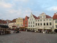 Rundreise Baltikum - Tallinn, Marktplatz