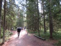 Rundreise Baltikum - Laheema-Nationalpark