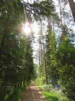 Rundreise Baltikum - Laheema-Nationalpark