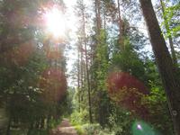 Rundreise Baltikum - Laheema-Nationalpark