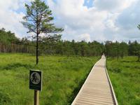 Rundreise Baltikum - Laheema-Nationalpark