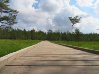 Rundreise Baltikum - Laheema-Nationalpark