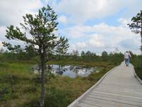 Rundreise Baltikum - Laheema-Nationalpark