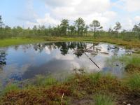 Rundreise Baltikum - Laheema-Nationalpark