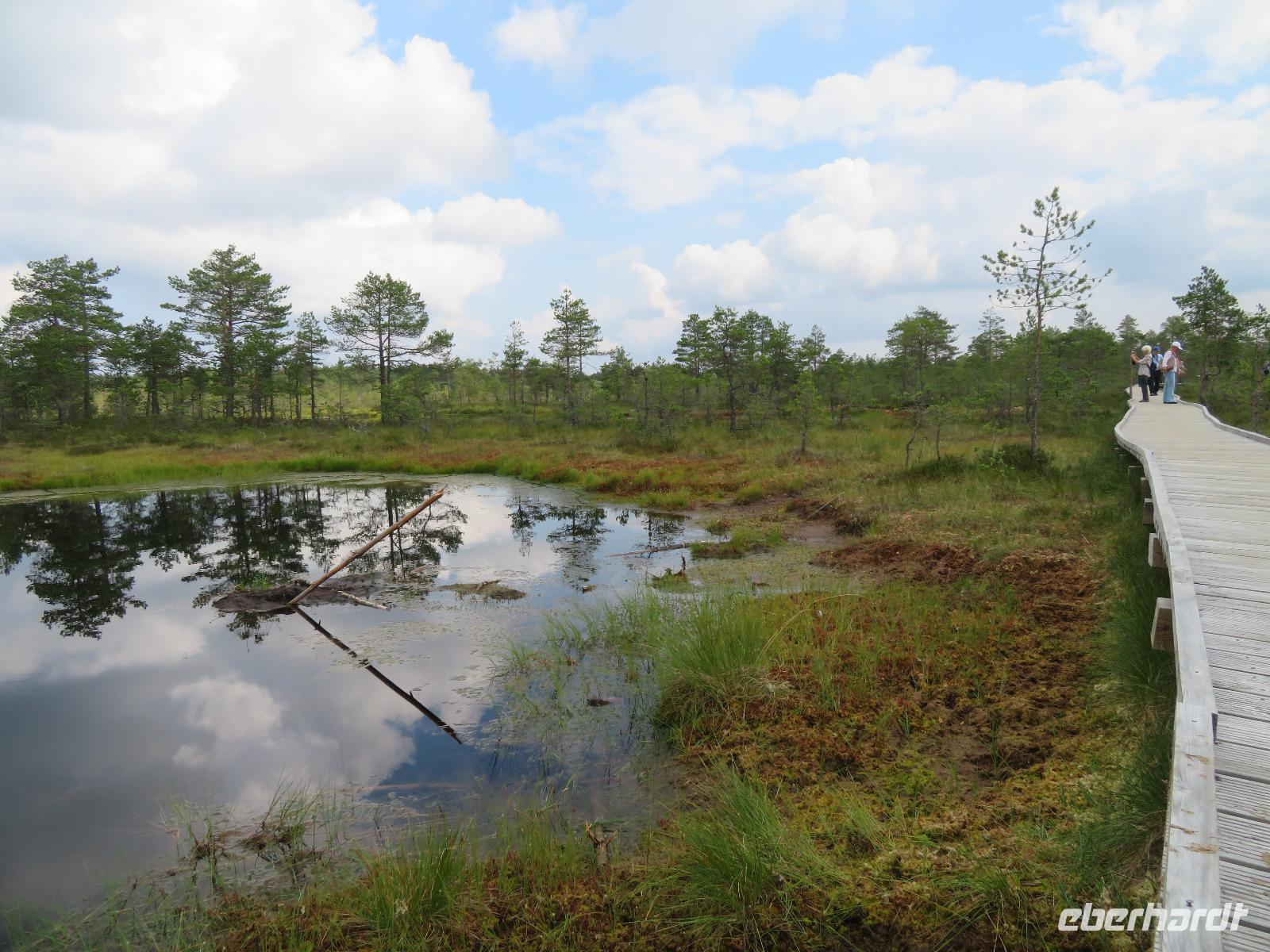 Rundreise Baltikum - Laheema-Nationalpark