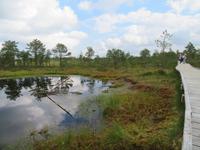 Rundreise Baltikum - Laheema-Nationalpark