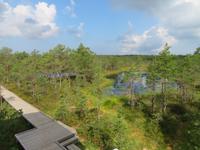 Rundreise Baltikum - Laheema-Nationalpark