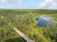 Rundreise Baltikum - Laheema-Nationalpark