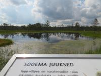 Rundreise Baltikum - Laheema-Nationalpark